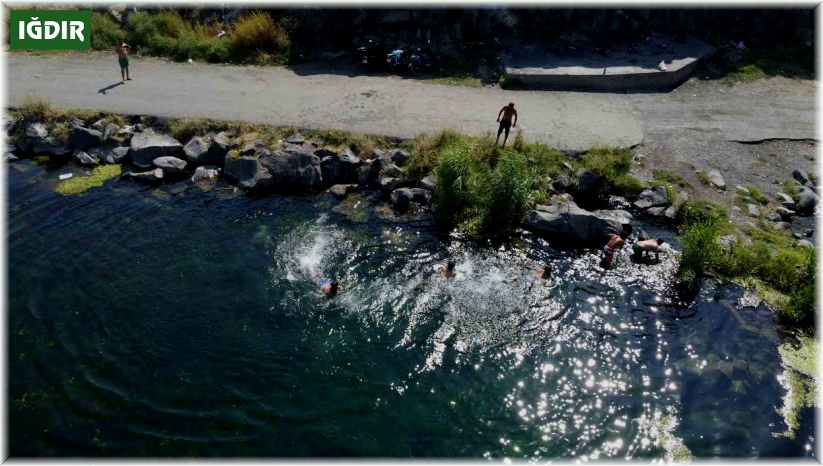 Ağrı Dağı eteklerinde yüzme keyfi