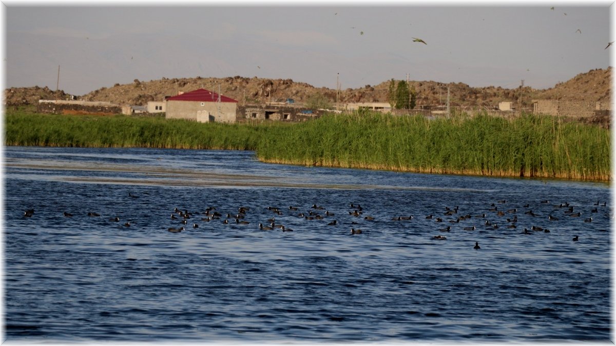 Ağrı Dağı Milli Parkı, doğal güzelliği ve hayvan çeşitliliğiyle dikkat çekiyor