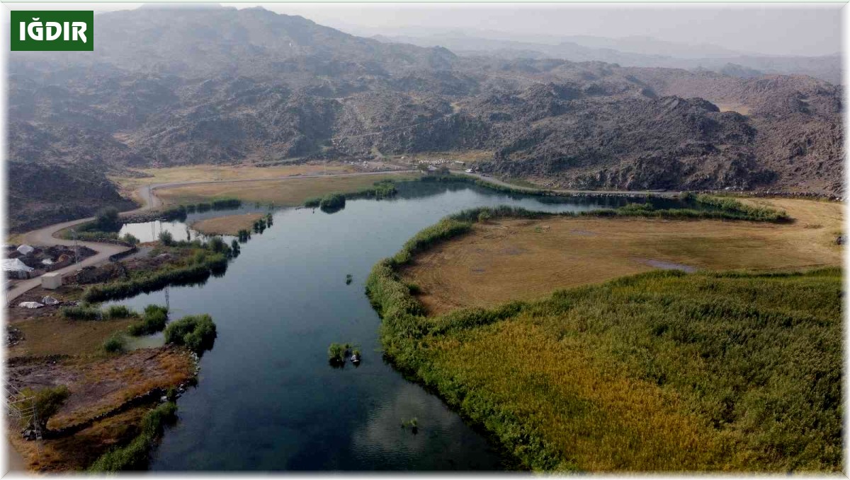 Ağrı Dağı Milli Parkı'nda sonbahar güzelliği