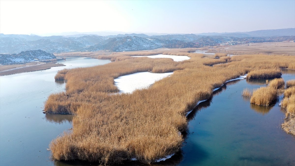 Ağrı Dağı Milli Parkı'ndaki sulak alanlar kısmen dondu