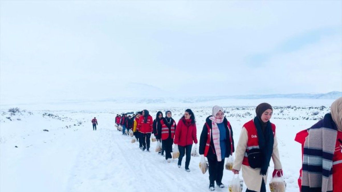 Ağrı Dağı'nın karla kaplı eteklerine yaban hayvanları için buğday bırakıldı