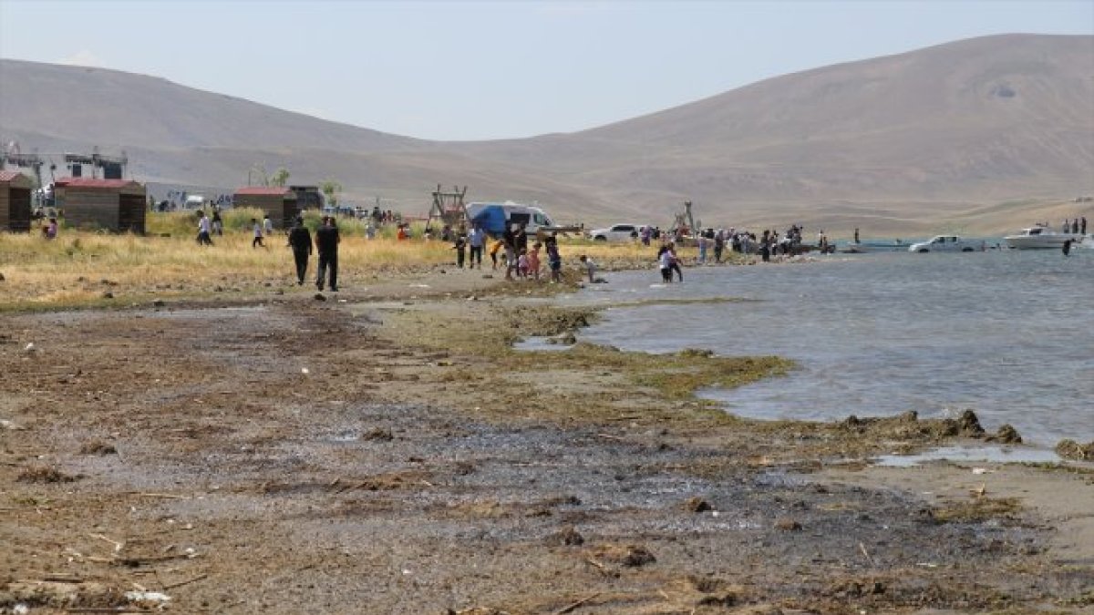 Ağrı'daki Balık Gölü'nün suyu bu sene de çekildi