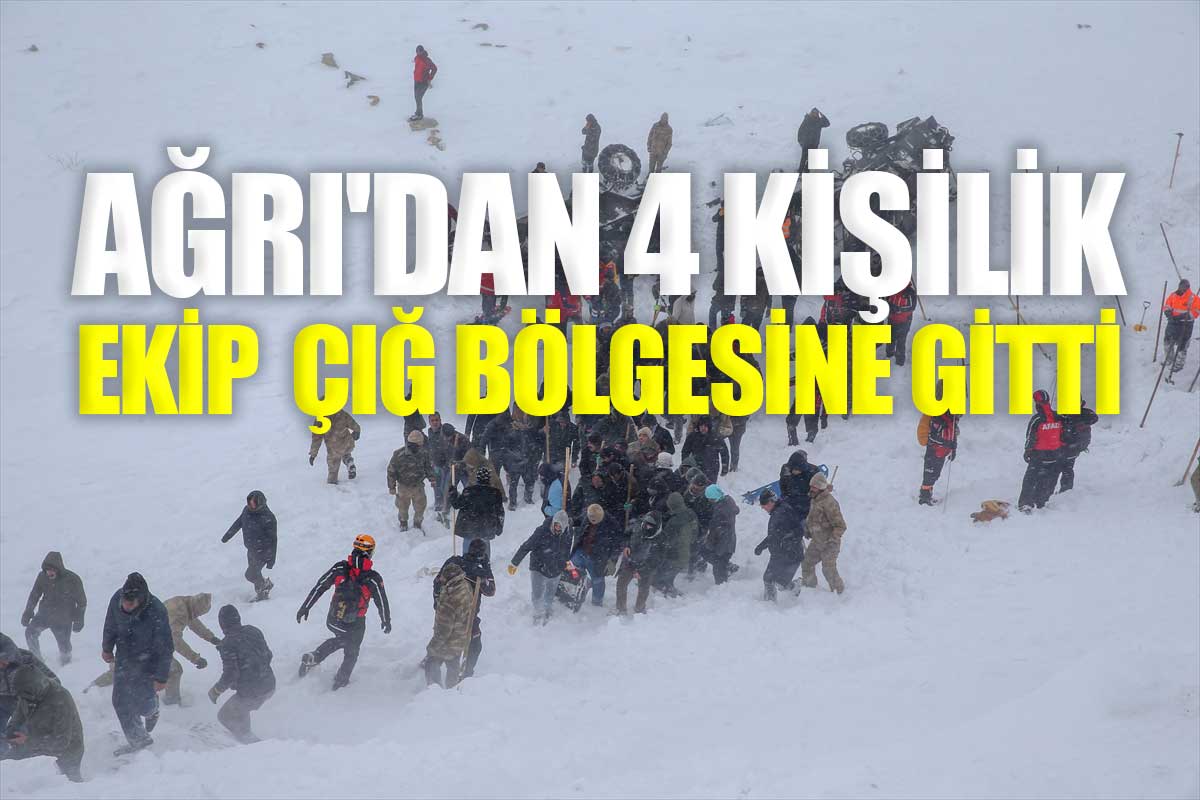 Ağrı'dan 4 kişilik uzman ekip Bahçesaray'daki çığ bölgesine gitti