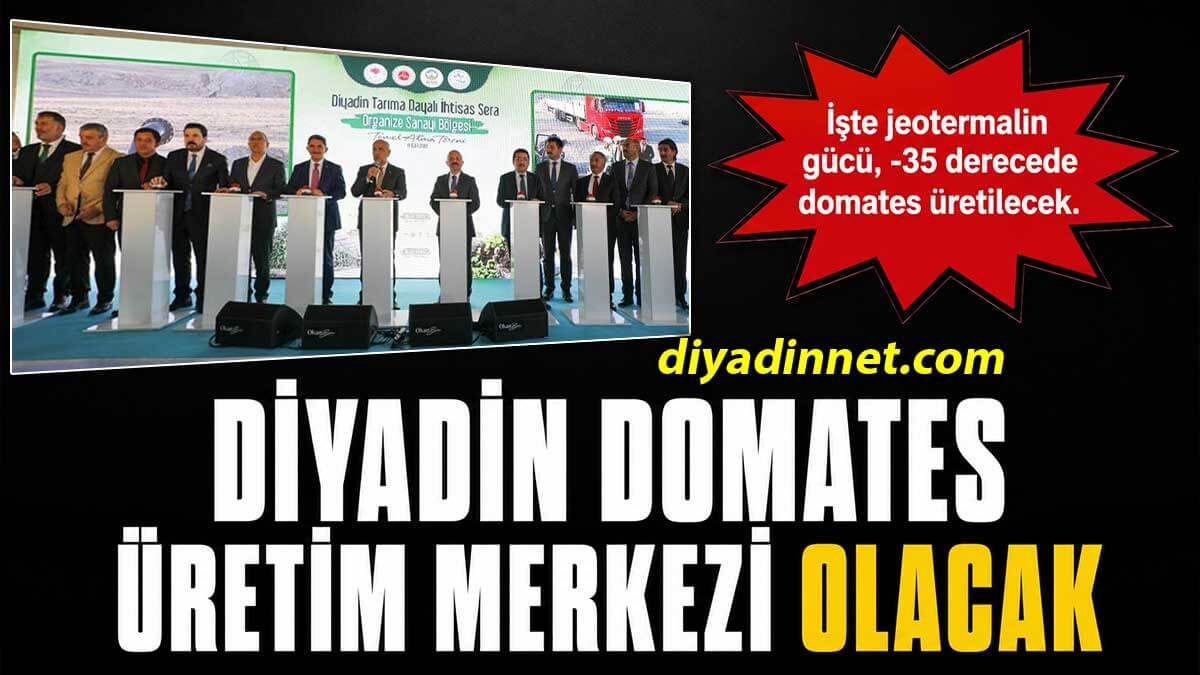 Ağrı Diyadin Jeotermal Isıtmalı Sera TDİOSB Projesiyle Domates Üretim Merkezi Olma Yolunda