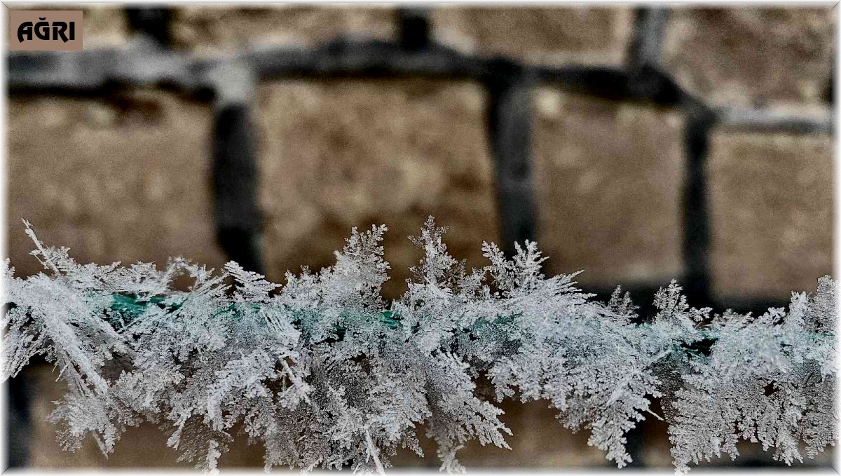 Ağrı dondurucu soğuklara teslim oldu