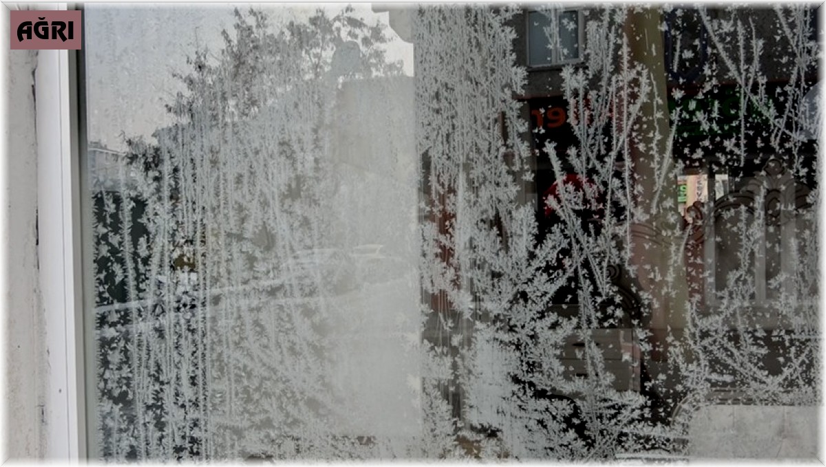 Ağrı eksi 20 derece ile dondu