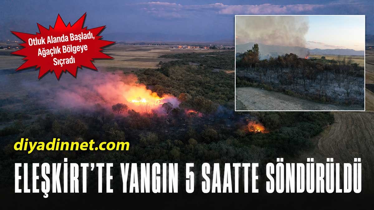 Ağrı Eleşkirt'te Ağaçlık Alanda Çıkan Yangın Söndürüldü
