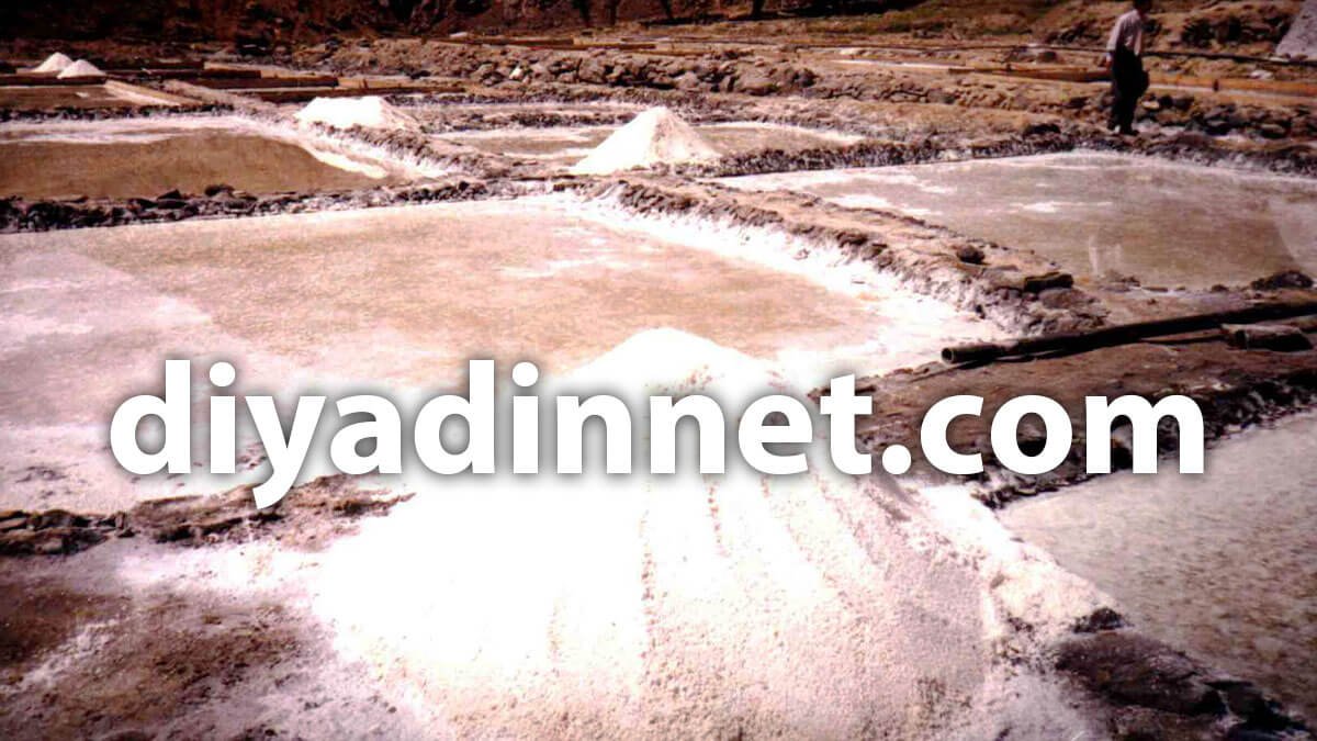 Ağrı Hamur Baldere Tuzlası'nda Aşırı Yağışlar 200-300 Ton Kapasiteli Tuz Üretimini Düşürdü