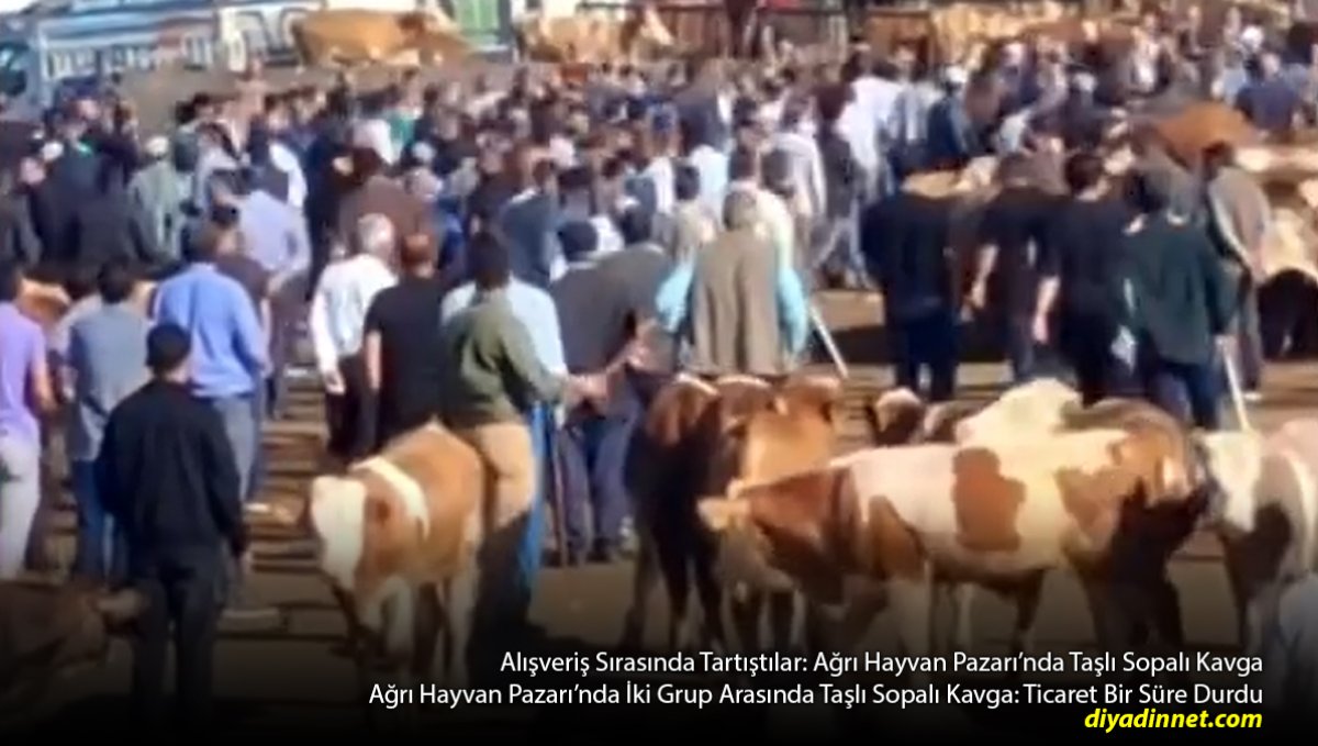 Ağrı Hayvan Pazarı'nda Taşlı Sopalı Kavga: Hayvan Ticareti Durdu