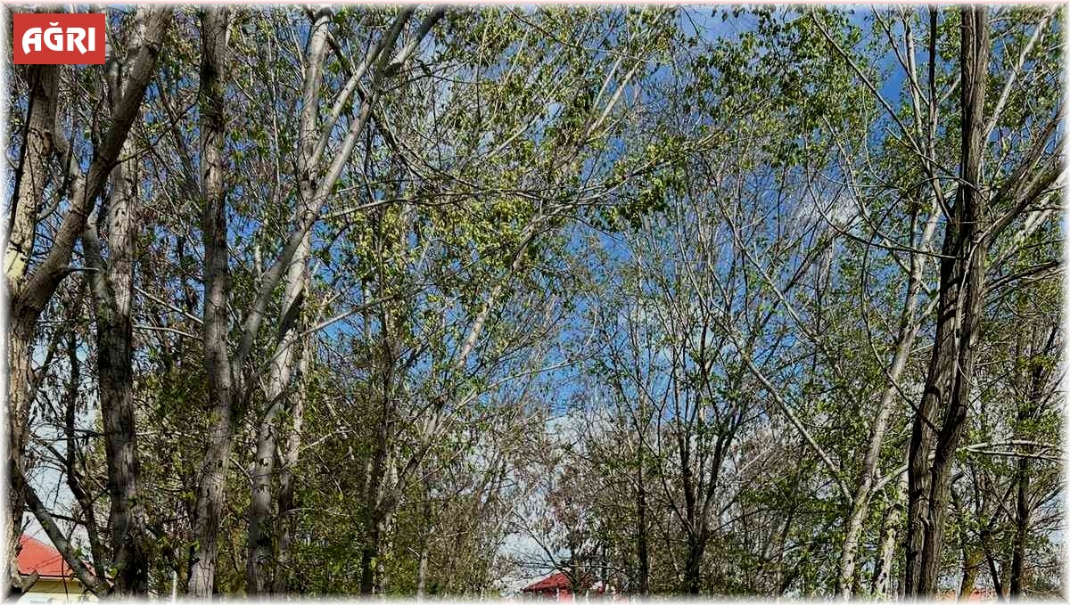 Ağrı Milli Eğitim Müdürü Kökrek, öğretmenlerle buluştu, "Türkiye Yüzyılı Maarif Modeli"ni anlattı