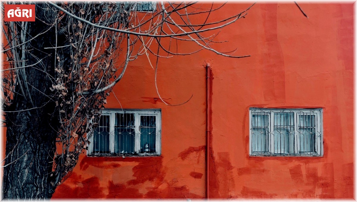 Ağrı'nın manzarası fotoğrafları süsledi