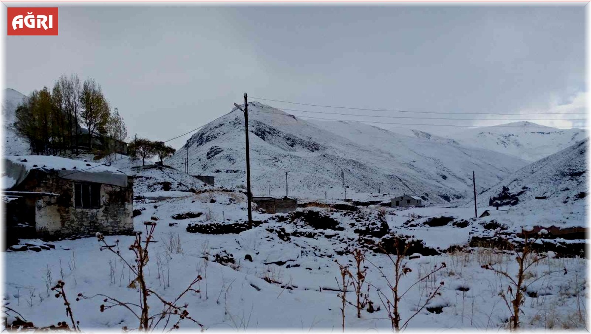 Ağrı'nın yüksek kesimleri beyaza büründü