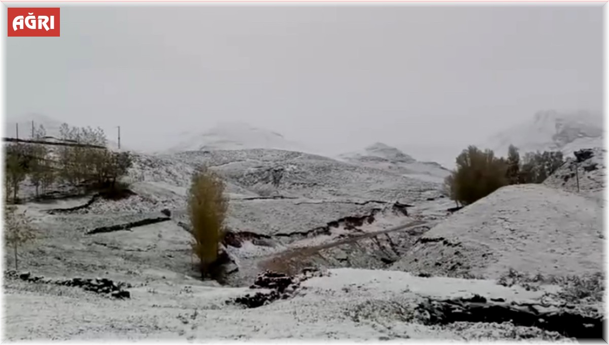 Ağrı'nın yüksek kesimleri yağan karla beyaza büründü