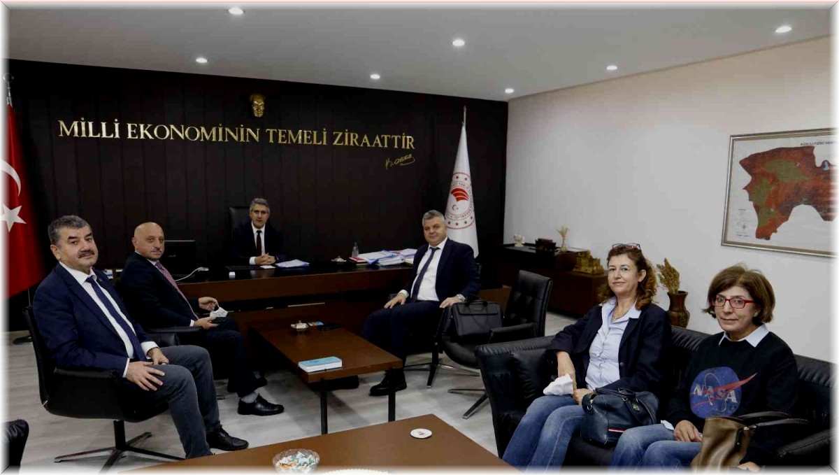 Ağrı Ovası’nda üretimi değiştirecek proje: 250 bin dekara su, ekonomiye milyonluk katkı