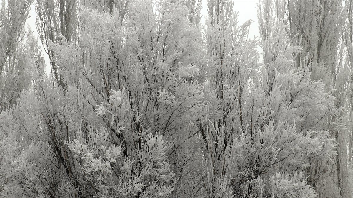 Ağrı sis bulutlarıyla kaplandı