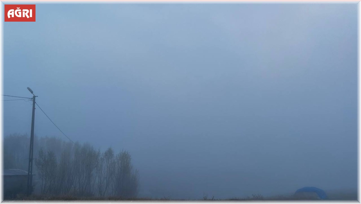 Ağrı soğuk havanın etkisine girdi