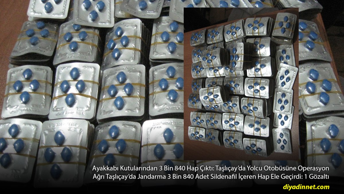 Ağrı Taşlıçay'da Jandarma 3 Bin 840 Adet Sildenafil İçeren Hap Ele Geçirdi: 1 Gözaltı