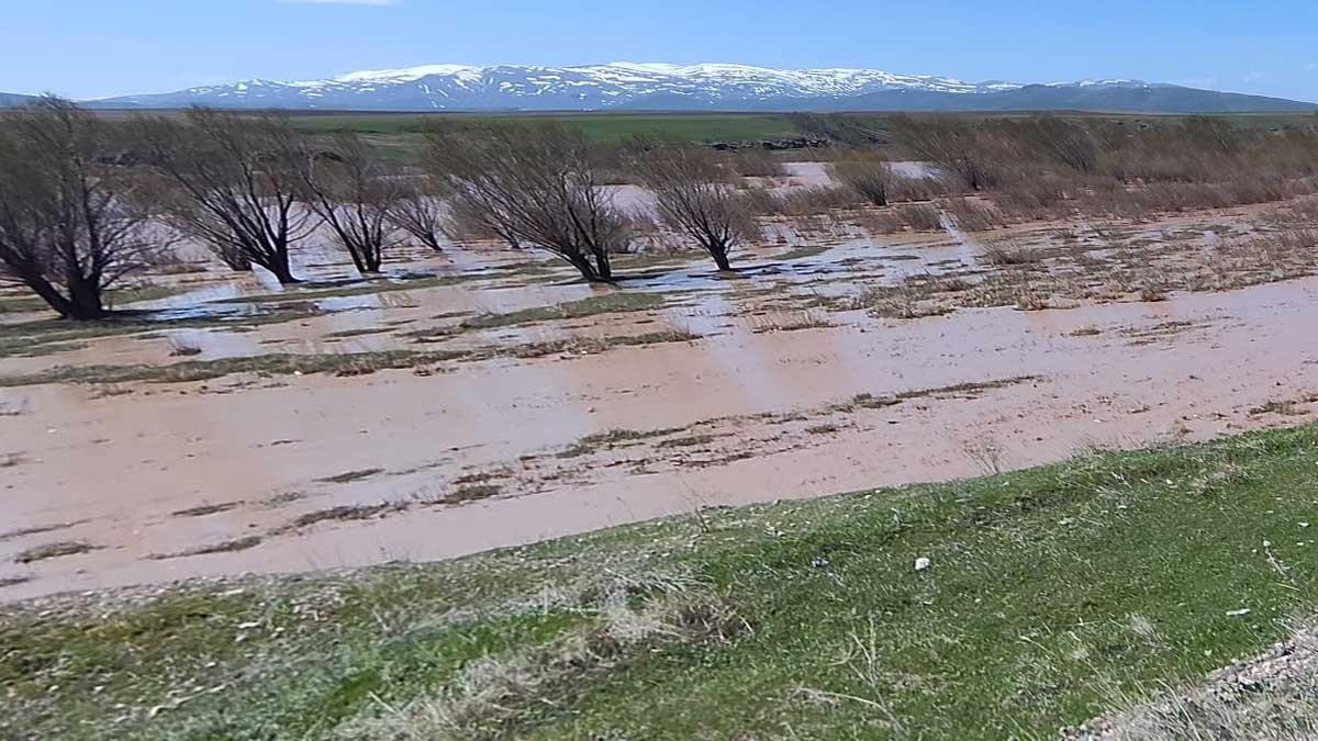 Ağrı Taşlıçay'da Murat Nehri Taştı, Tarım Arazileri Sular Altında Kaldı