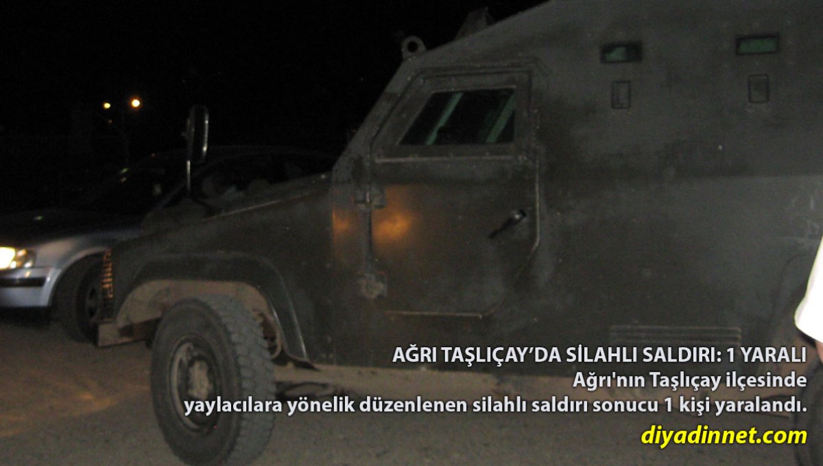 Ağrı Taşlıçay'da Silahlı Saldırı: Yaylacılara Ateş Açıldı, 1 Kişi Yaralandı