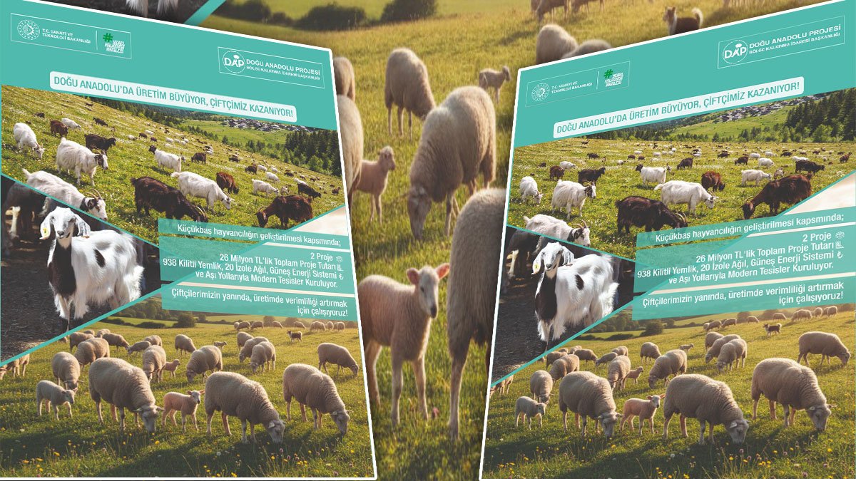 Ağrı ve Tunceli’de küçükbaş hayvancılığa 26 milyon liralık destek: Modern ağıl ve güneş enerjisi yatırımı başlıyor
