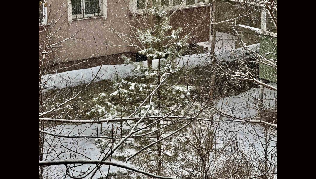 Ağrı yeniden beyaza büründü