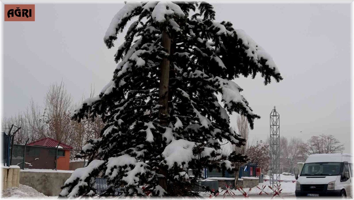 Ağrı yeniden beyaza büründü