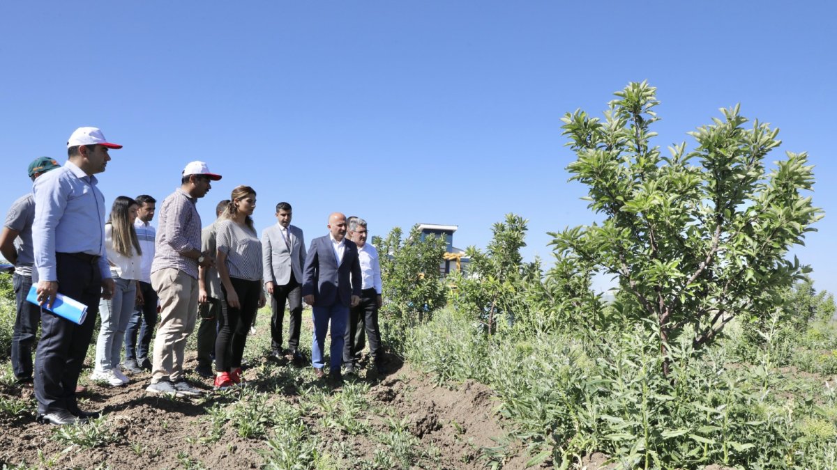 Ağrı’da çiftçiye destek büyüyor, Vali Varol Aşkale Köyünde üreticilerle sahada buluştu