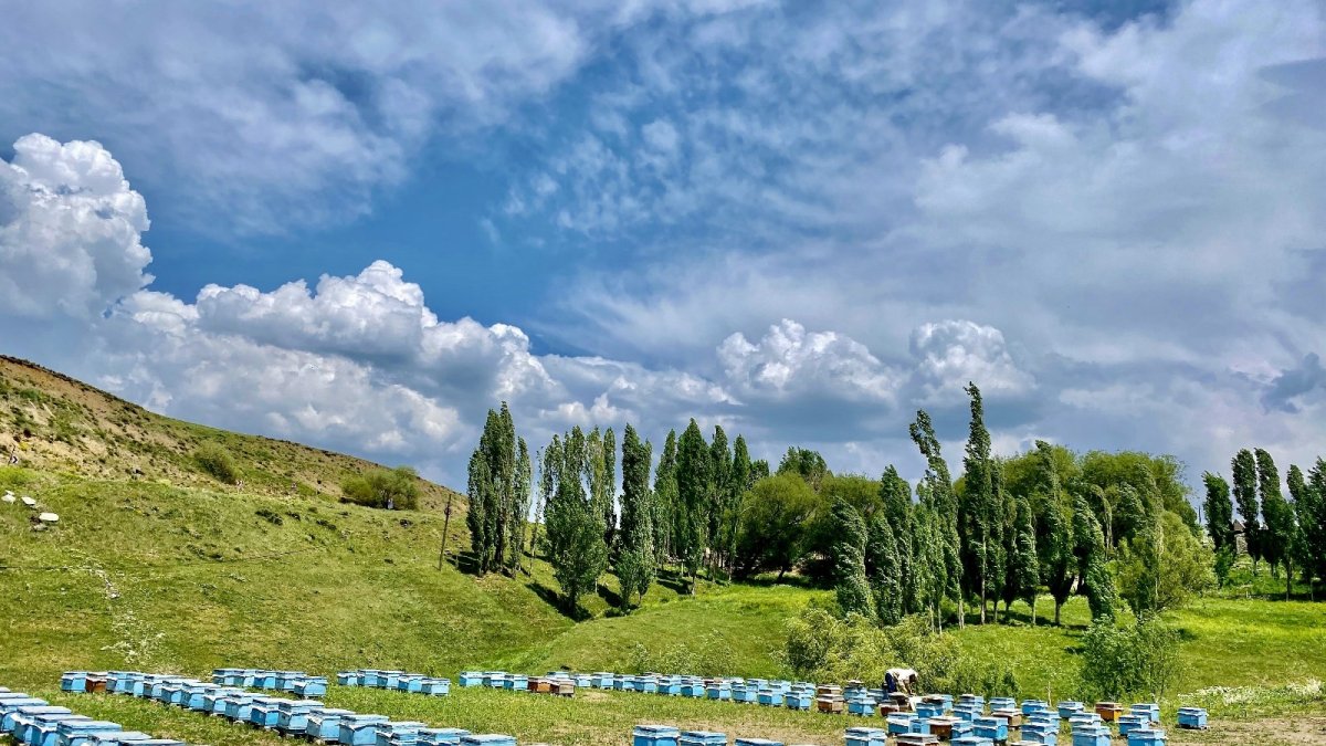 Ağrı’da Emekli Olan Ekrem Keski, Arıcılığı Gelir Kapısına ve Yaşam Tarzına Dönüştürdü