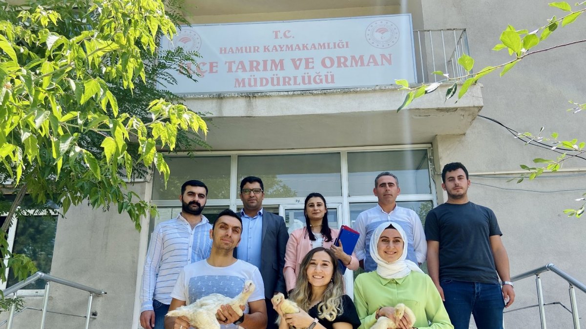 Ağrı’da kadınlara verilen 2 bin 500 kaz yeni gelir kapısı oldu