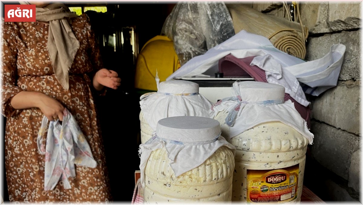 Ağrı’da peynirleri toprağa gömüyorlar, Asırlık yöntem hâlâ sürüyor