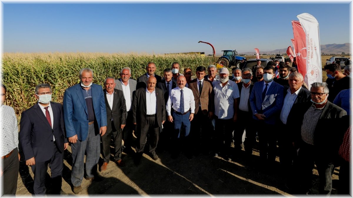 Ağrı’da yüzde 90 hibeyle ekilen silajlık mısırda ilk hasat yapıldı
