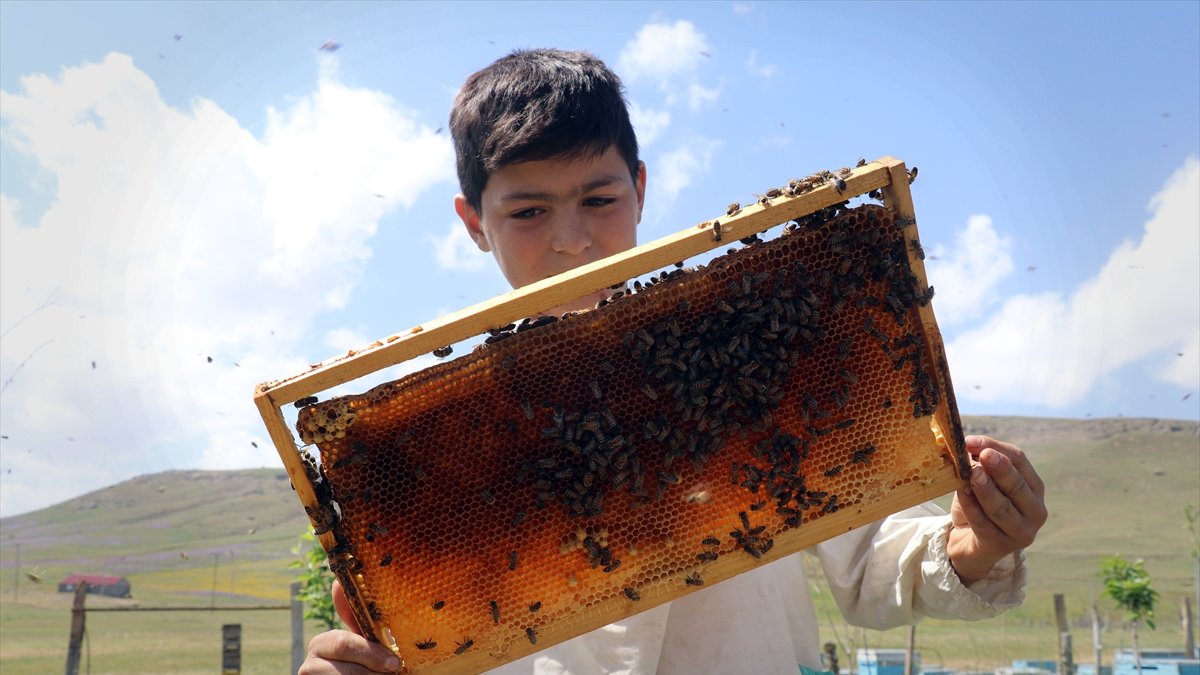 Ağrılı 12 yaşındaki Abdulsamet Turgut, arıcılığı babasının yanında öğreniyor