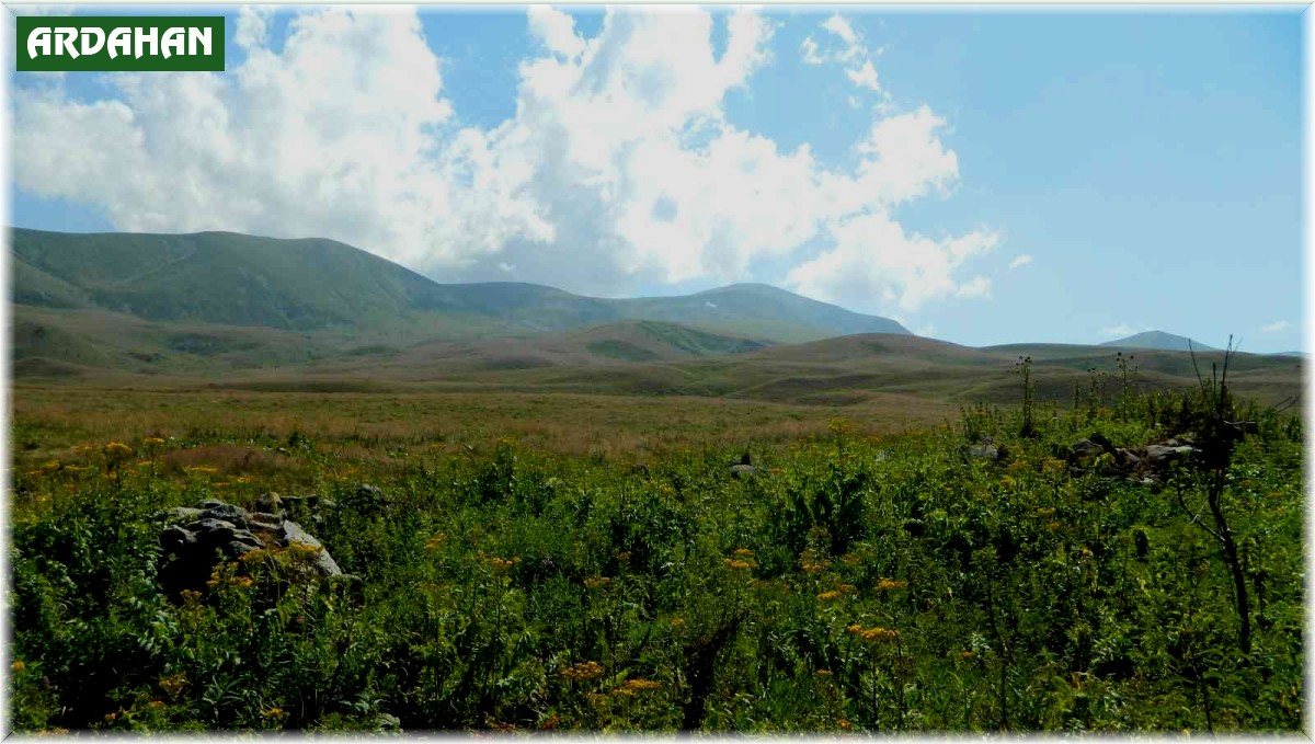 Ağustos sıcağı Posof yaylalarında kar bırakmadı