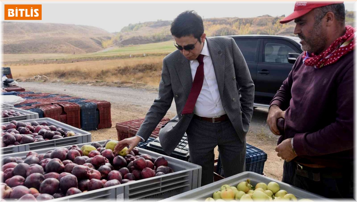 Ahlat elması yurt dışı pazarında