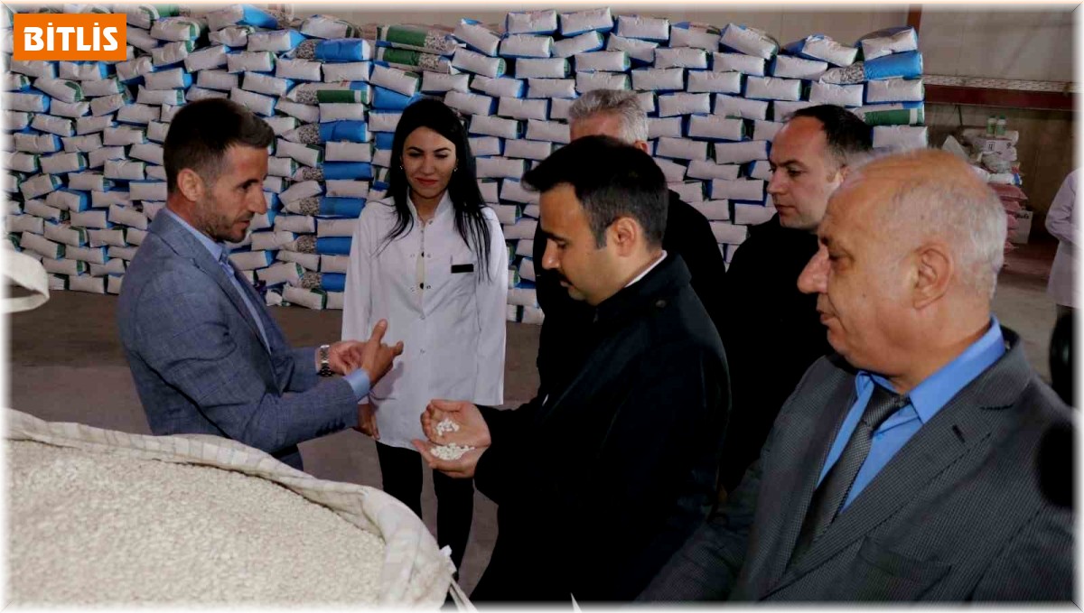 Ahlat kuru fasulye üretiminde merkez olma yolunda