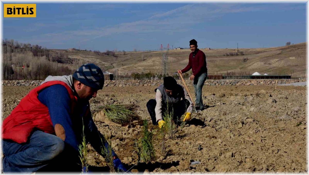 Ahlat Lavanta Parkı Projesi fotoğraf turizmine katkı sunacak