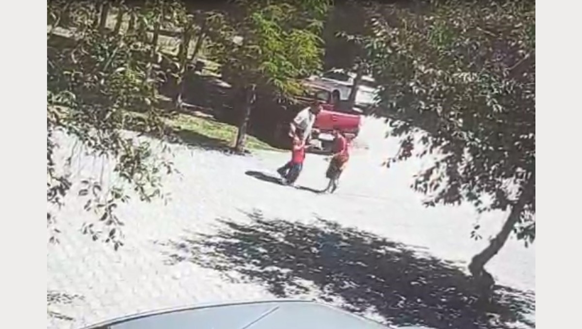 Ahlat'ta başıboş köpeklerin saldırısına uğrayan çocuk son anda kurtarıldı