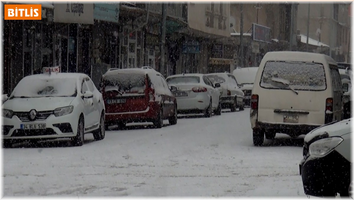 Ahlat'ta beklenen kar yağışı başladı