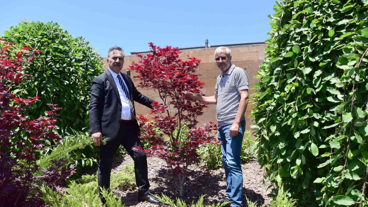 Ahlat'ta botanik çeşitlilik artırılıyor