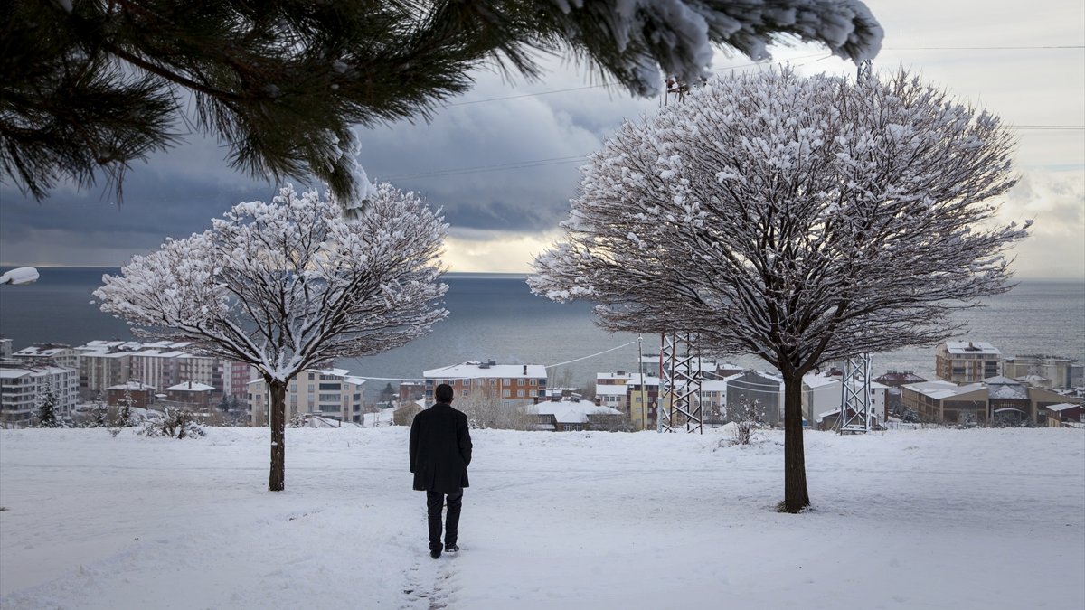 Ahlat'ta kar etkili oldu