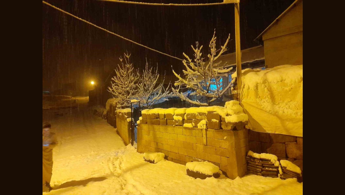 Ahlat'ta kar yağışı