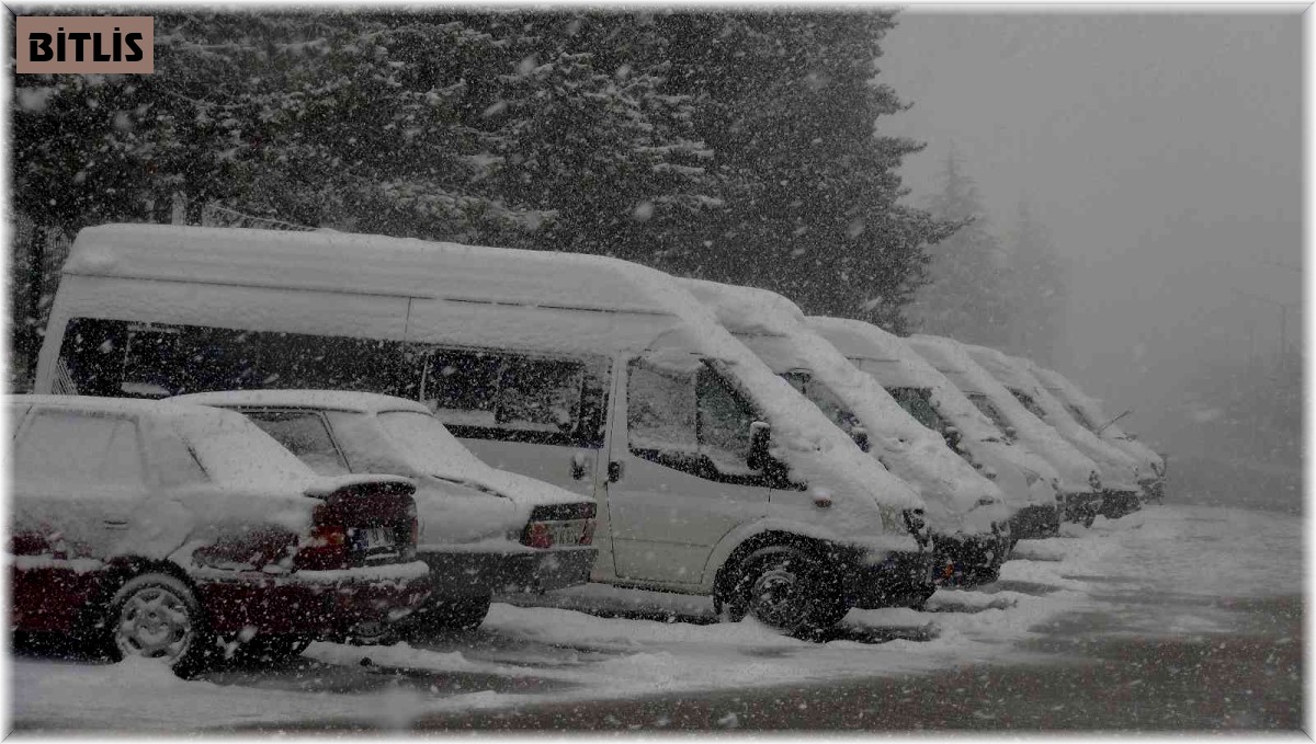 Ahlat'ta kar yağışı