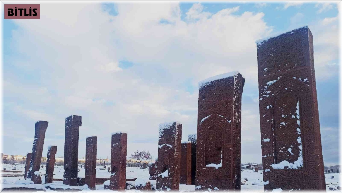 Ahlat'ta kar yağışı