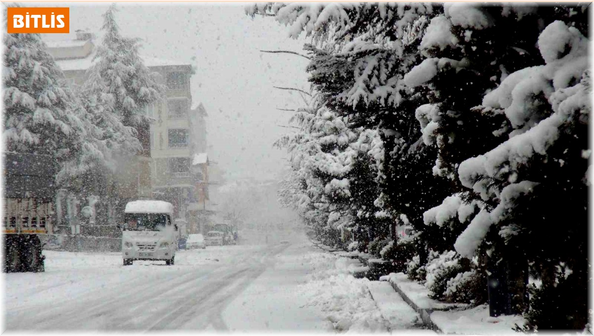 Ahlat'ta mart karı etkili oluyor