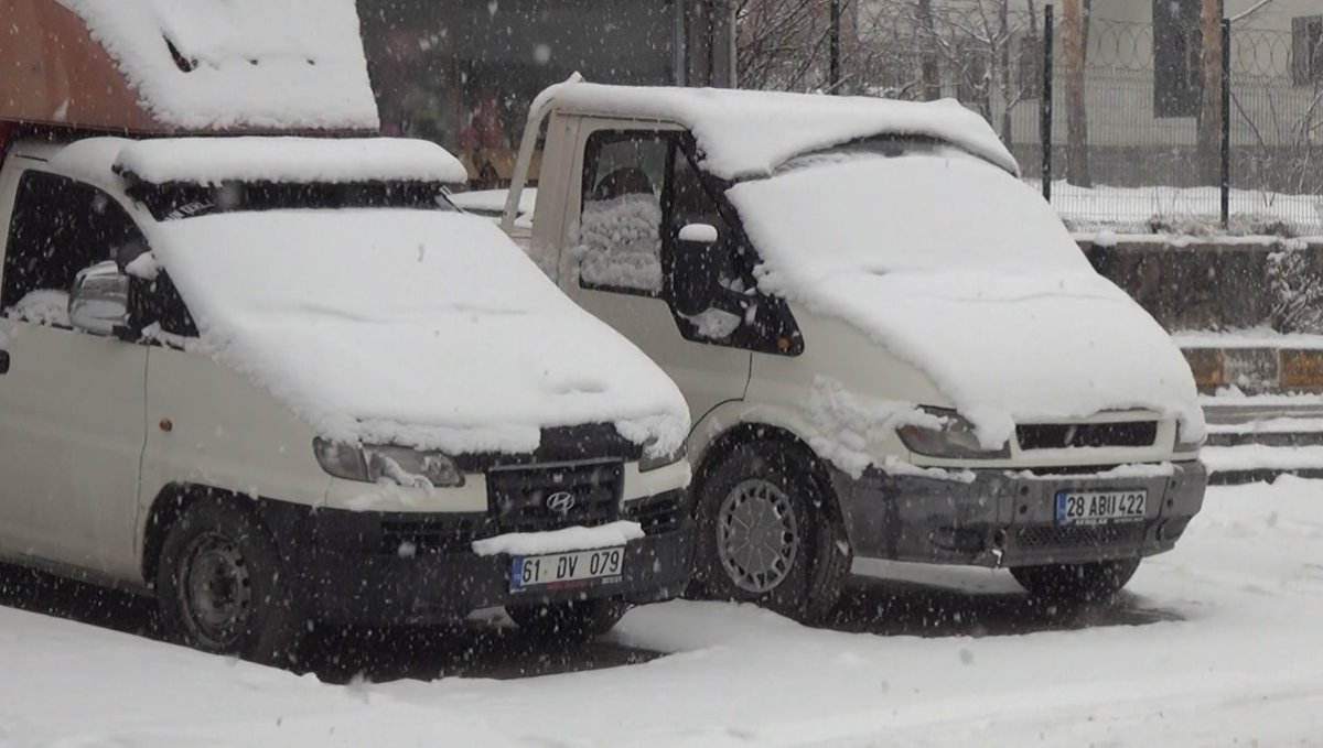 Ahlat'ta mart karı sürprizi: 11 köy yolu ulaşıma kapandı