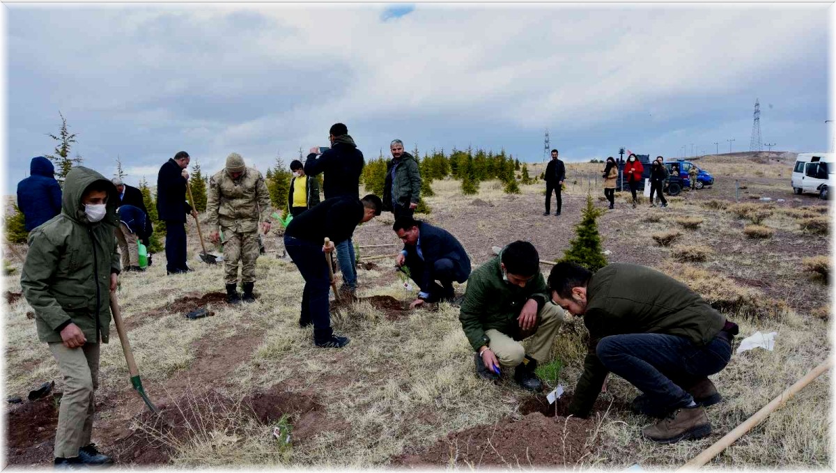 Ahlat'ta şehit öğretmenler anısına fidan dikildi
