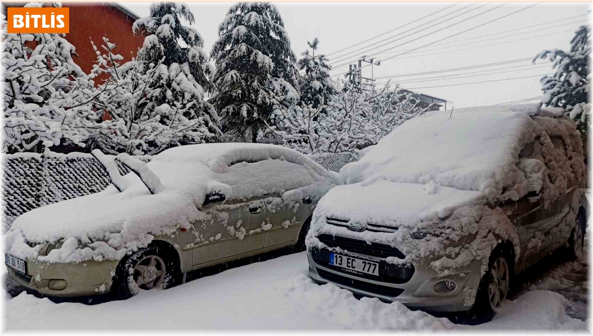 Ahlat'ta yoğun kar yağışı