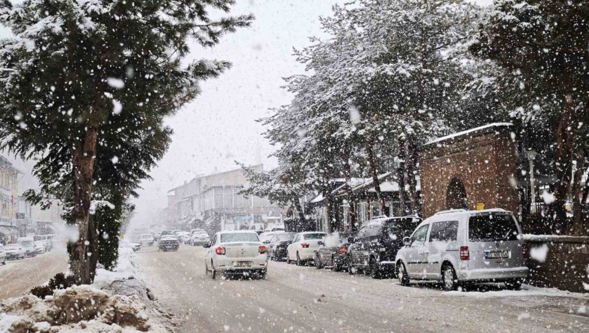 Ahlat'ta yoğun kar yağışı