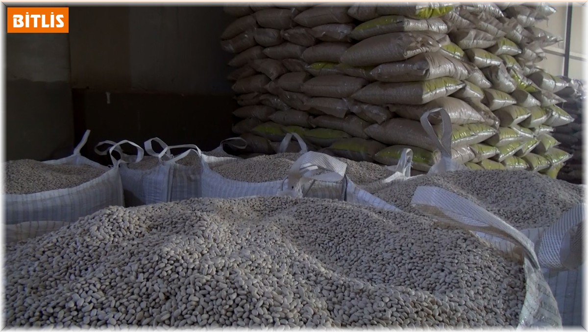 Ahlat'tan kuru fasulye ihracatı