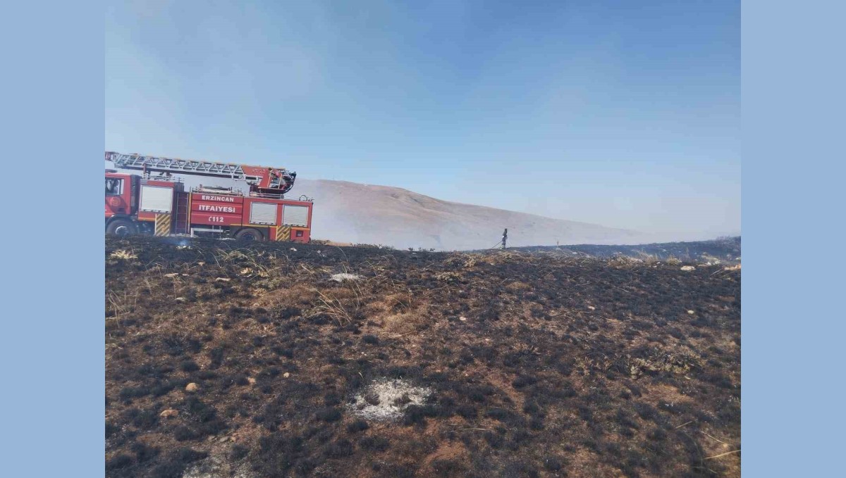 Ahmediye Geçidinde örtü yangını söndürüldü